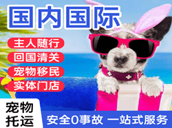 连云港空运国际宠物托运 【国